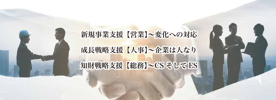 新規事業支援、成長戦略支援、知的戦略支援カルーセル2